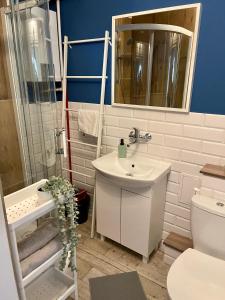 W łazience znajduje się umywalka, toaleta i lustro. w obiekcie Apartament Redłowo w mieście Gdynia