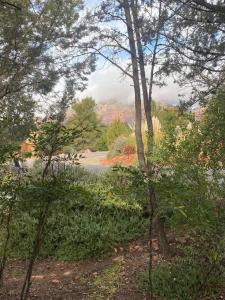 uitzicht op een park met bomen en een weg bij Family Friendly Home with Character and Charm in Sedona