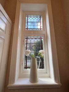 een raam met een witte vaas met bloemen erin bij Forest Side Guesthouse in Lyndhurst
