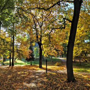 Zahrada ubytování Apartmány Monastery Suites Žireč