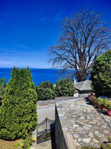 a garden with a stone walkway and a tree at Sea & Mountain Pelion in Mouresi
