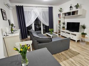 sala de estar con sofá y TV en Słoneczny Apartament Warka, en Warka