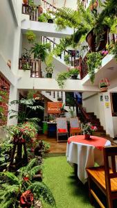 a room with a table and some plants at Chachapoyas Backpackers Hostal Boutique in Chachapoyas