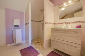 a bathroom with a shower and a sink and a toilet at LA CLER'HIER in Clérey