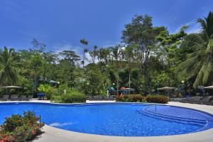 uma grande piscina azul num resort em Manzanillo Caribbean Resort em Puerto Viejo