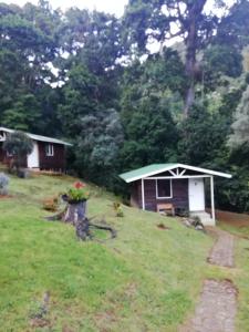 una cabaña en un campo con un patio en Miriam'S Quetzals lodge, en San Gerardo de Dota
