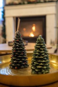two miniature christmas trees on a plate with a fireplace at Casacaldametsovo in Metsovo