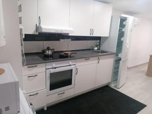 Kuchyňa alebo kuchynka v ubytovaní Apartamento FELICIA