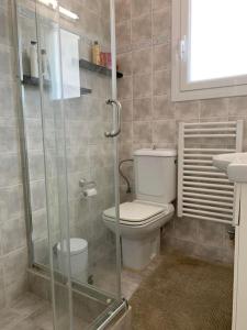 埃利亞拉科尼阿斯的住宿－Village House - Monemvasia municipality，一间带卫生间和玻璃淋浴间的浴室