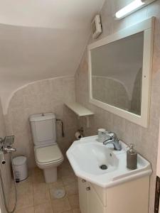 埃利亞拉科尼阿斯的住宿－Village House - Monemvasia municipality，一间带水槽、卫生间和镜子的浴室
