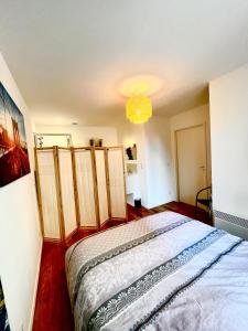 Postel nebo postele na pokoji v ubytování Le petit sablé - Hyper centre - spacieux - 2ème étage