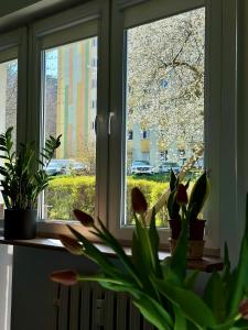 una ventana con dos macetas en un estante en Uroczy apartament - Sopot, en Sopot