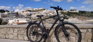 a bike parked on a wall with a view of a city at Palazzo Muro Leccese Relais de Charme & Wellness in Muro Leccese