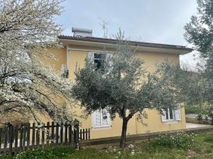 een geel huis met een hek en een boom bij Casa Forola Holiday House in Acquaviva Picena