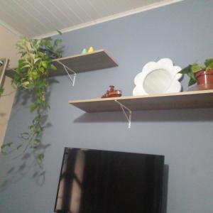 una habitación con estanterías con plantas en la pared en Recanto dos Amigos en Santa Teresa