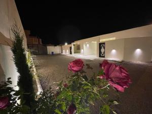 un grupo de rosas rojas sentadas al lado de un edificio por la noche en سحاب تهلل السودة Sahab AL-Sodah, en Sawda