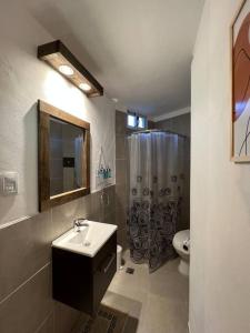 La salle de bains est pourvue d'un lavabo, d'une douche et de toilettes. dans l'établissement Depto en Barrio Villa Belgrano excelente ubicación, à Córdoba