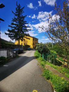 a street with a tree and a yellow building at La Casa di Lice in Moneglia