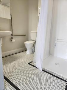 a bathroom with a toilet and a sink and a shower at Cedar House in Gisborne