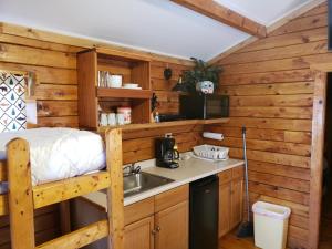 Shenandoah 1 Summer Camp in the Laurel Highlands في Champion: مطبخ مع سرير ومغسلة في كابينة