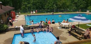 a group of people in a swimming pool at Shenandoah 1 Summer Camp in the Laurel Highlands in Champion