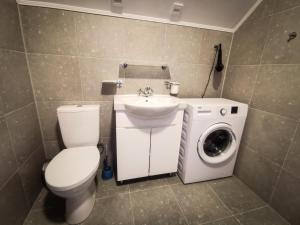 a bathroom with a toilet and a sink and a washing machine at Green Town Apartment in Chortkiv