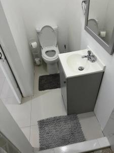a small bathroom with a toilet and a sink at Mandeville Vacation Home in Mandeville