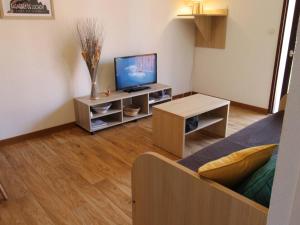 a living room with a flat screen tv and a couch at Appartement Bagnères-de-Luchon, 2 pièces, 4 personnes - FR-1-313-222 in Luchon