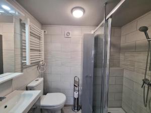 łazienka z prysznicem, toaletą i umywalką w obiekcie Gîte et studio avec cheminée, terrasse, salle de jeux et nature préservée à La Versanne - FR-1-496-280 w mieście La Versanne +22 zdjęcia