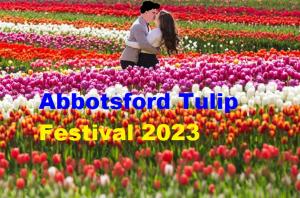 a couple kissing in a field of tulips at Anita's Bed & Breakfast - Bedroom On Ground Floor With Backyard in Abbotsford
