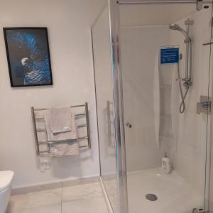 a bathroom with a shower and a toilet at Welbourn Accommodation in New Plymouth