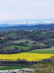 a field of yellow flowers with snow covered mountains in the background at Les Figuets in Châteauneuf-de-Galaure