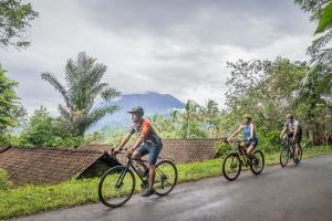 three people riding bikes down a road at Kaura Bali in Candidasa