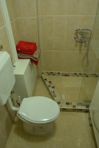 a bathroom with a toilet and a shower at Apartment Kapishtec in Skopje