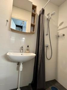 y baño con lavabo y ducha. en Savi Apartment 4, en Pärnu