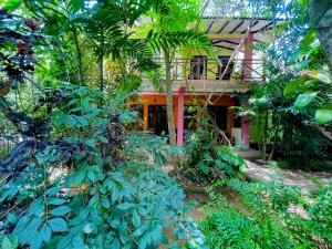 En hage utenfor Gangadiya Lodge