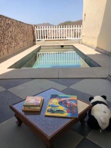 a panda bear sitting on a table with two books at Jai Villa Homestay in Udaipur