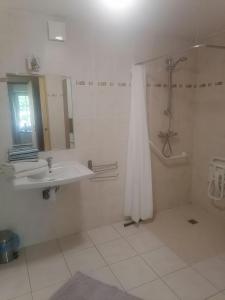 ein weißes Bad mit einer Dusche und einem Waschbecken in der Unterkunft Frairie Du Divit in Pontivy