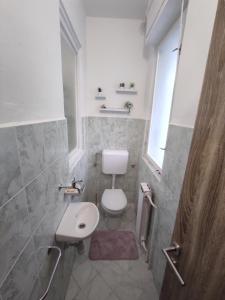 een badkamer met een toilet, een wastafel en een raam bij The Loft in Koper