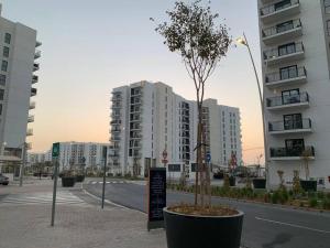 a tree in a pot on a street with buildings at Best deal in town Yas Island 232WB10 in Abu Dhabi