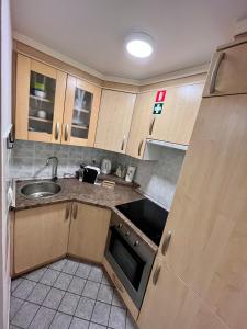 una pequeña cocina con armarios de madera y fregadero en Apartment TiSa, Bled en Bled