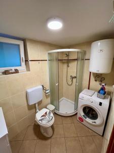 a bathroom with a shower toilet and a washing machine at Apartment TiSa, Bled in Bled