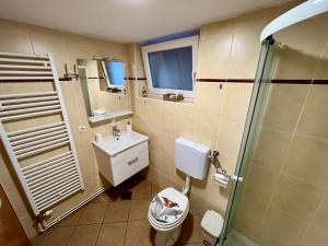a bathroom with a toilet and a sink and a shower at Apartment TiSa, Bled in Bled +15 photos