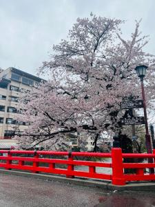 Foto dalla galleria di JAS HOTEL TAKAYAMA a Takayama