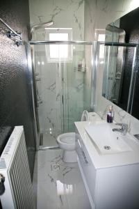 bagno con doccia, lavandino e servizi igienici di Chris Luxury Studio a Ioannina