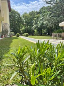 Zahrada ubytování Hello Balcsi Apartmanház