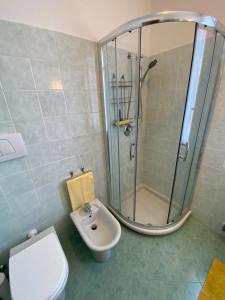 a bathroom with a shower and a toilet and a sink at Melograno in Feriolo in Baveno +7 photos