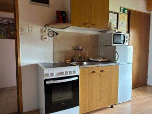 a small kitchen with a stove and a refrigerator at Apartman MAURO in Rakovica