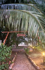 a garden with a palm tree and a bench at Cassiopeia Srithanu Apartments in Srithanu