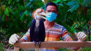 Ein Mann, der einen Vogel mit einer Maske im Gesicht hält. in der Unterkunft Bukit Lawang Hill Resort in Bukit Lawang